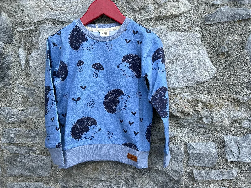 Sweatshirt for cozy walks -Hedgehog blue sweatshirt   4y (104cm)