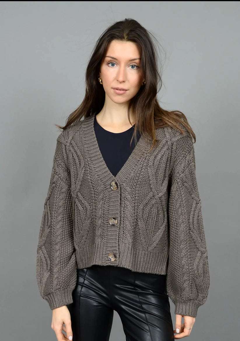 Cardigan for summer walks -Ignacia Long Sleeve V Neck Cardigan